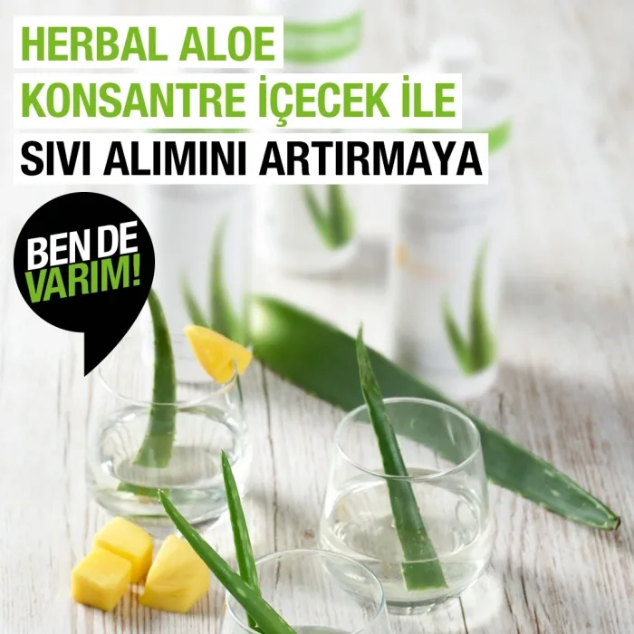 Herbal Aloe Konsantre İçecek 2 Adet, görsel 2