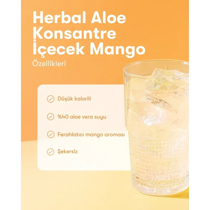 Herbal Aloe Konsantre İçecek Mango Gallon, görsel 2